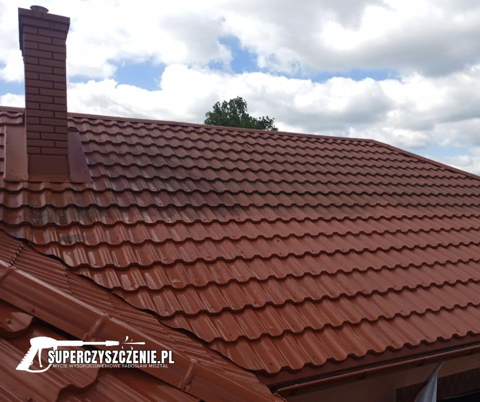 Czyszczenie dachów Lubaczów